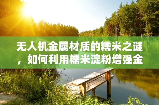 无人机金属材质的糯米之谜，如何利用糯米淀粉增强金属表面附着力？