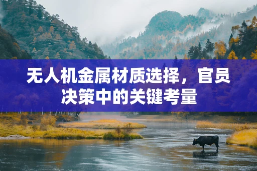 无人机金属材质选择，官员决策中的关键考量