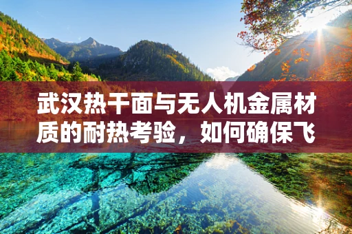 武汉热干面与无人机金属材质的耐热考验，如何确保飞行安全？