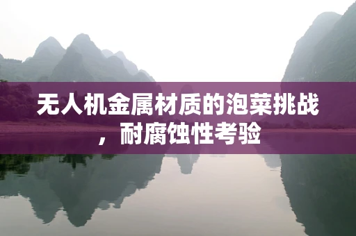 无人机金属材质的泡菜挑战，耐腐蚀性考验