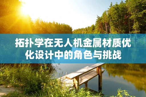 拓扑学在无人机金属材质优化设计中的角色与挑战