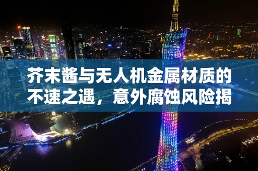 芥末酱与无人机金属材质的不速之遇，意外腐蚀风险揭秘