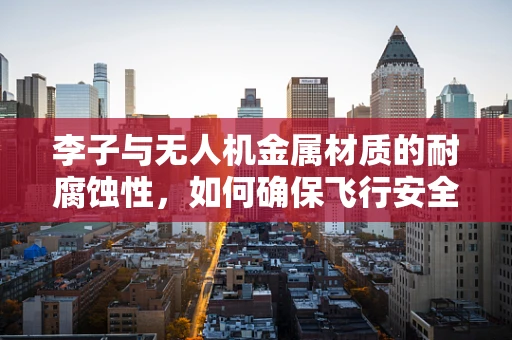 李子与无人机金属材质的耐腐蚀性，如何确保飞行安全？
