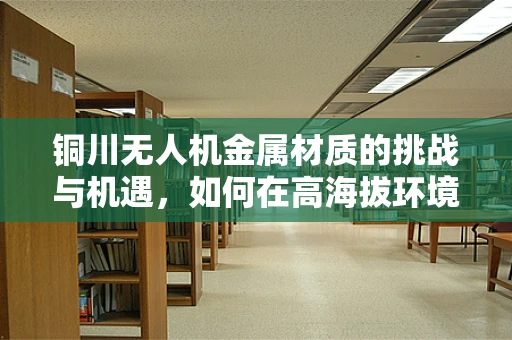 铜川无人机金属材质的挑战与机遇，如何在高海拔环境下保障飞行安全？