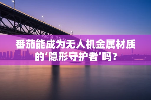 番茄能成为无人机金属材质的‘隐形守护者’吗？