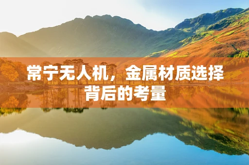 常宁无人机，金属材质选择背后的考量