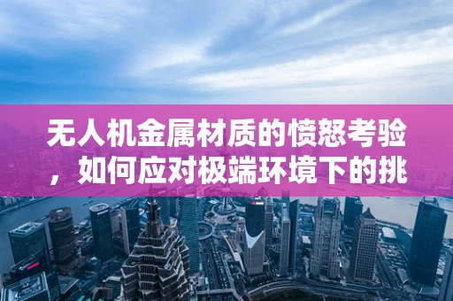 无人机金属材质的愤怒考验，如何应对极端环境下的挑战？
