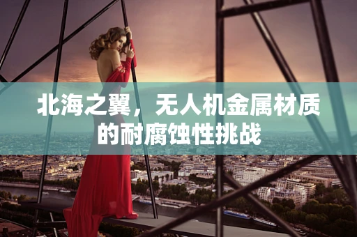 北海之翼，无人机金属材质的耐腐蚀性挑战