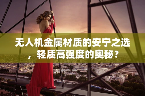 无人机金属材质的安宁之选，轻质高强度的奥秘？
