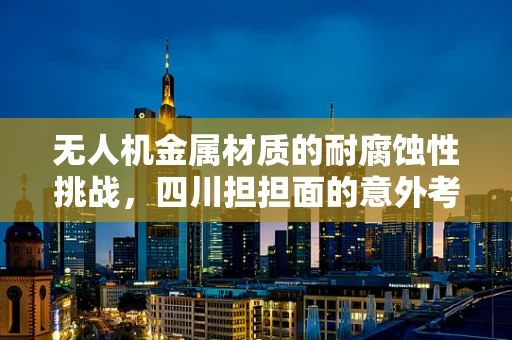 无人机金属材质的耐腐蚀性挑战，四川担担面的意外考验