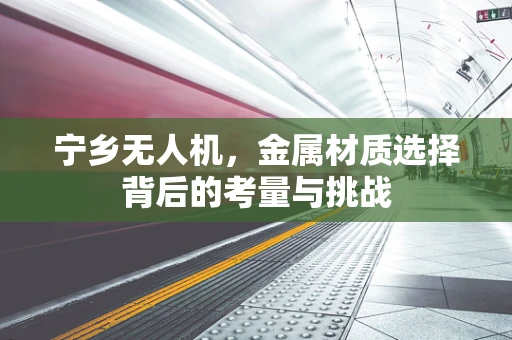 宁乡无人机，金属材质选择背后的考量与挑战