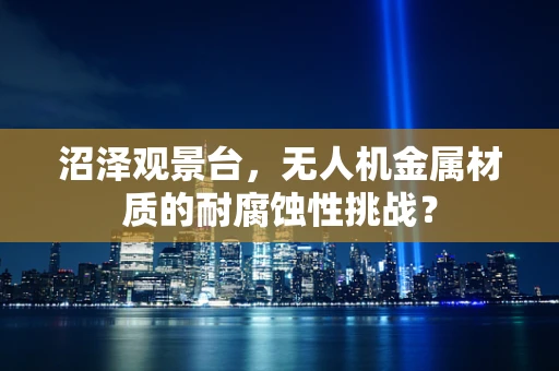 沼泽观景台，无人机金属材质的耐腐蚀性挑战？