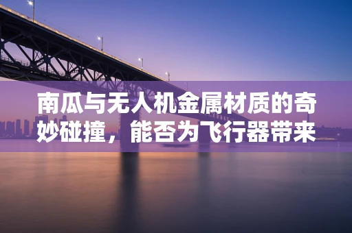 南瓜与无人机金属材质的奇妙碰撞，能否为飞行器带来‘甜蜜’防护？