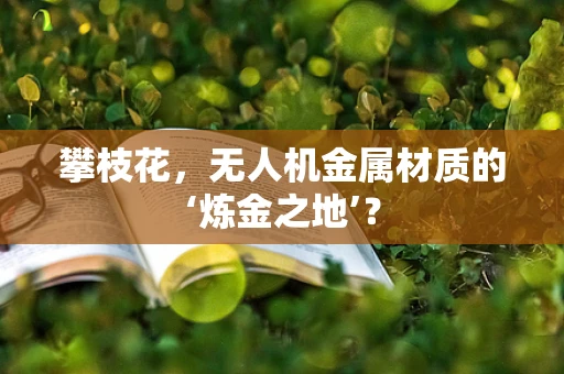 攀枝花，无人机金属材质的‘炼金之地’？