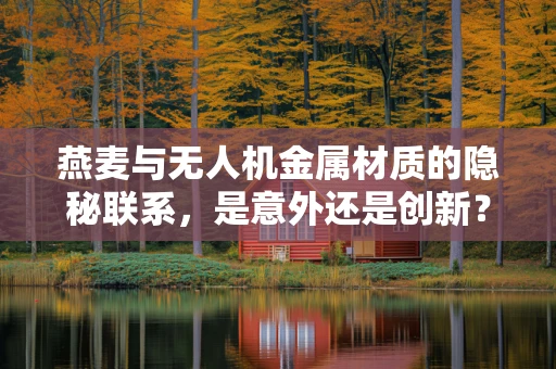 燕麦与无人机金属材质的隐秘联系，是意外还是创新？