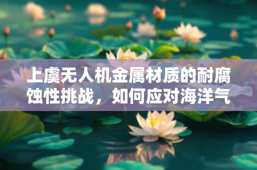 上虞无人机金属材质的耐腐蚀性挑战，如何应对海洋气候的考验？