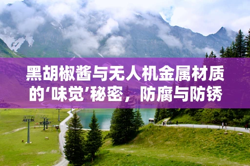 黑胡椒酱与无人机金属材质的‘味觉’秘密，防腐与防锈的奇妙联系？