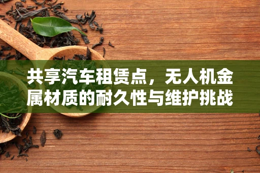共享汽车租赁点，无人机金属材质的耐久性与维护挑战