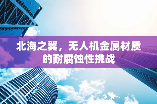 北海之翼，无人机金属材质的耐腐蚀性挑战
