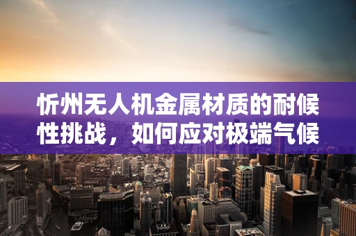 忻州无人机金属材质的耐候性挑战，如何应对极端气候考验？