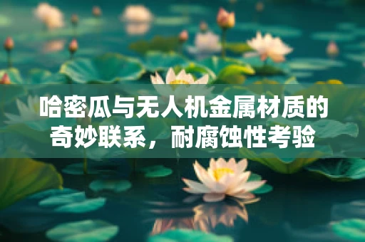 哈密瓜与无人机金属材质的奇妙联系，耐腐蚀性考验