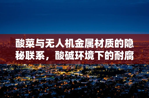 酸菜与无人机金属材质的隐秘联系，酸碱环境下的耐腐蚀性挑战