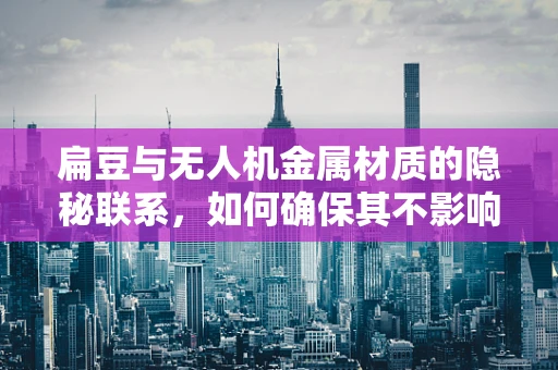 扁豆与无人机金属材质的隐秘联系，如何确保其不影响飞行稳定性？
