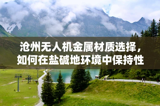 沧州无人机金属材质选择，如何在盐碱地环境中保持性能？