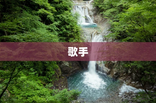 歌手