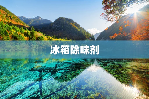 冰箱除味剂