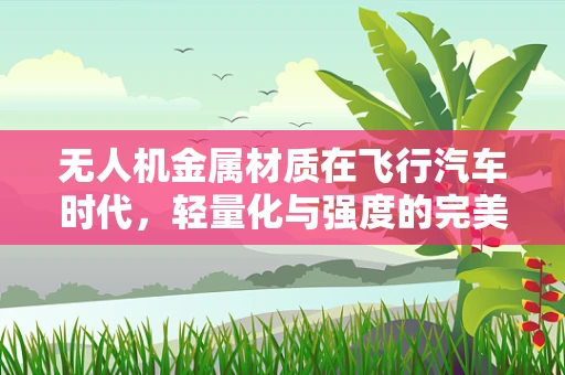 无人机金属材质在飞行汽车时代，轻量化与强度的完美平衡？