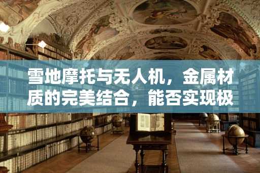 雪地摩托与无人机，金属材质的完美结合，能否实现极寒环境下的高效飞行？