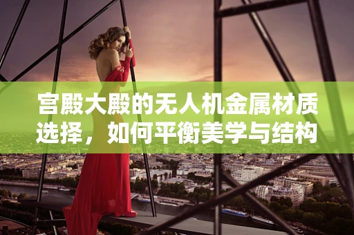 宫殿大殿的无人机金属材质选择，如何平衡美学与结构强度？