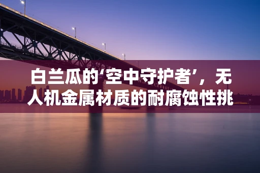 白兰瓜的‘空中守护者’，无人机金属材质的耐腐蚀性挑战