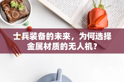 士兵装备的未来，为何选择金属材质的无人机？