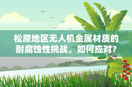 松原地区无人机金属材质的耐腐蚀性挑战，如何应对？