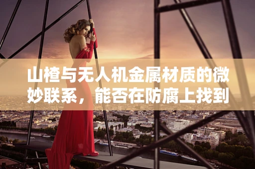 山楂与无人机金属材质的微妙联系，能否在防腐上找到新启示？