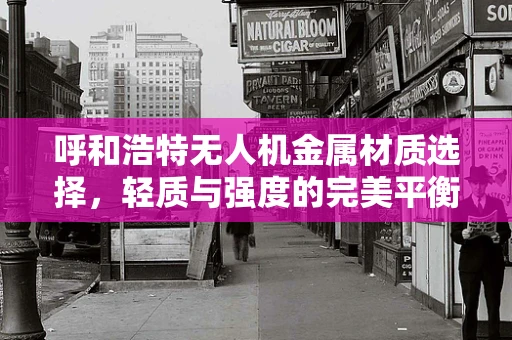 呼和浩特无人机金属材质选择，轻质与强度的完美平衡？