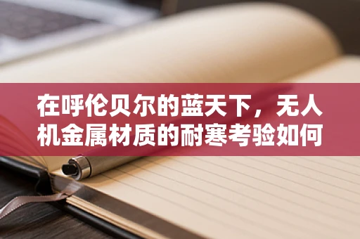 在呼伦贝尔的蓝天下，无人机金属材质的耐寒考验如何？