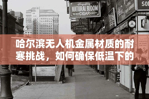 哈尔滨无人机金属材质的耐寒挑战，如何确保低温下的性能稳定？