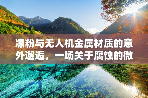 凉粉与无人机金属材质的意外邂逅，一场关于腐蚀的微妙探讨