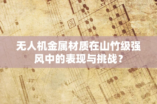 无人机金属材质在山竹级强风中的表现与挑战？