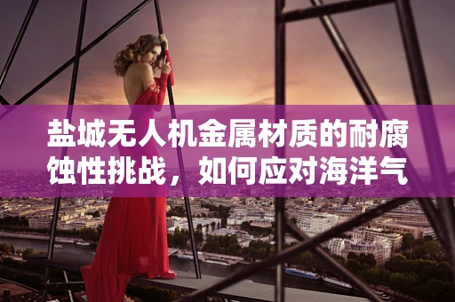 盐城无人机金属材质的耐腐蚀性挑战，如何应对海洋气候的考验？