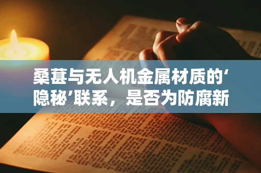 桑葚与无人机金属材质的‘隐秘’联系，是否为防腐新思路？