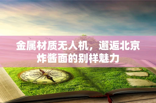 金属材质无人机，邂逅北京炸酱面的别样魅力