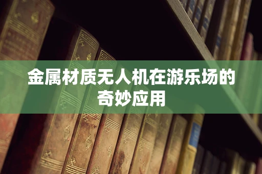 金属材质无人机在游乐场的奇妙应用