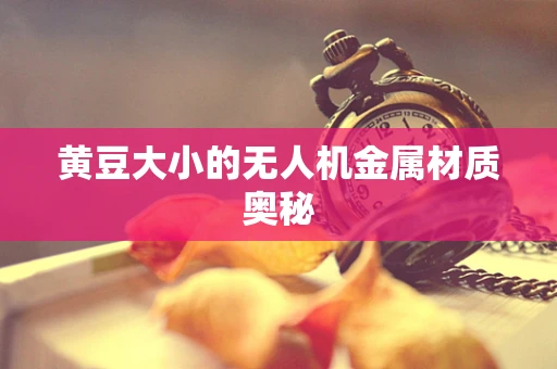 黄豆大小的无人机金属材质奥秘