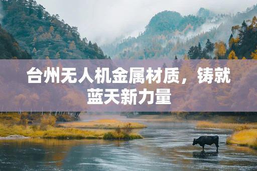 台州无人机金属材质，铸就蓝天新力量