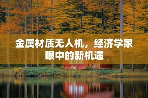 金属材质无人机，经济学家眼中的新机遇