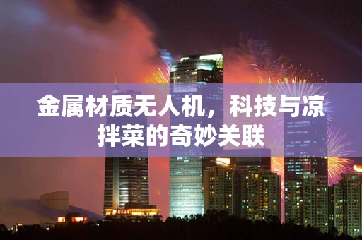 金属材质无人机，科技与凉拌菜的奇妙关联
